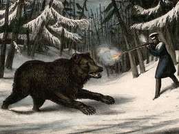 An enraged and badly wounded bear shot by the author. Drawn on stone by T.M. Baynes. Printed by C. Hullman. Museovirasto 2810:3