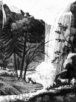 D.F. Schaffer: 