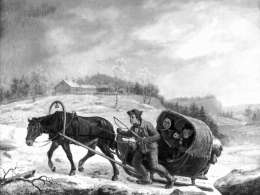 Robert Ekman, Hollikyyti (1872). Kuva: Museovirasto.