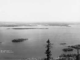 Koli. Kuva: I.K. Inha, Museovirasto.