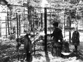A. Heiricius: Korkeasaari. Kuva: Suomen valokuvataiteen museo, 82-1.