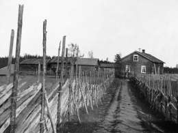 Samuli Paulaharju: Pihatie Kuusjärvellä, Museovirasto 3490:556.