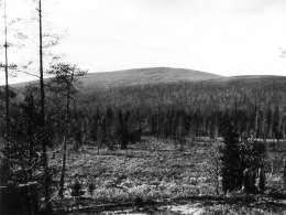 Samuli Paulaharju: Puitstunturi, Kuolajärvi. Museovirasto 3490:1001.