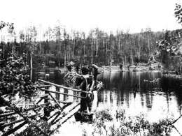 Samuli Paulaharju: poroaita, Kuolajärven Vuorijoki. Museovirasto 3490:992.