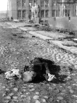 Nuoren pojan ruumis Tampereella. Kuva: Museovirasto 19.I.21.