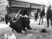 Samuli Paulaharju: "karhun tarakan nosto", Perho. Kuva: Museovirasto 3490:4121.