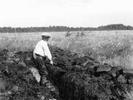 Samuli Paulaharju: ojan kaivuuta Perhon pitäjän Kokkonevalla. Kuva: Museovirasto 3490:4146.