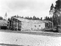 Heinrich Iffland: halkoja. Kuva: Suomen valokuvataiteen museo, SML 105.