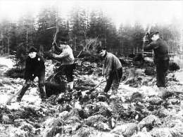 Työttömiä Sorviston koululla suota kuokkimassa. Kuva: Museovirasto, neg. 411/13-14.