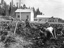 Pekka Kyytinen: uudistila. Kuva: Museovirasto, neg. 198874.