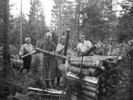Työvelvolliset naiset motin teossa. Kuva: Museovirasto, 137951.
