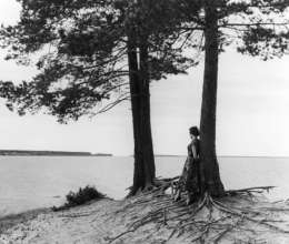 Atte Matilainen: Oulujärvi. Kuva: Suomen valokuvataiteen museo, SML 14713.