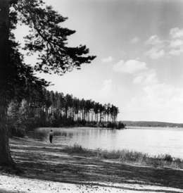 H.T. Lehmusto: Punkaharju. Kuva: Suomen valokuvataiteen museo, SML 15027.