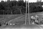 Kalle Kultala: lehmät maantiellä Tuuloksessa. Kuva: Suomen valokuvataiteen museo, cd: 1008 b.