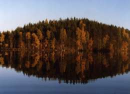 Syysnäkymä Mäntyharjulta, kuva yksityisomistuksessa.